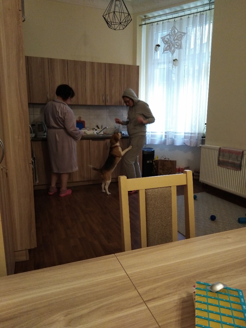 Dwie kobiety stoją w kuchni , pies skacze na jedną z kobiet.