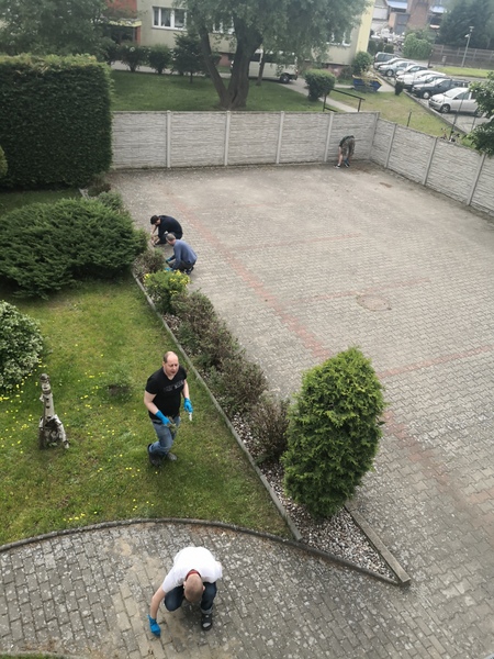 Pięciu mężczyzn pracujących w ogrodzie.