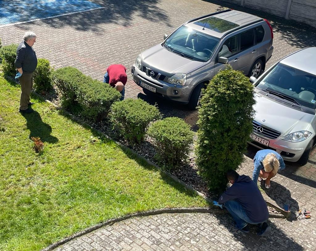 Grupa osób wykonuje prace porządkowe w ogrodzie.
