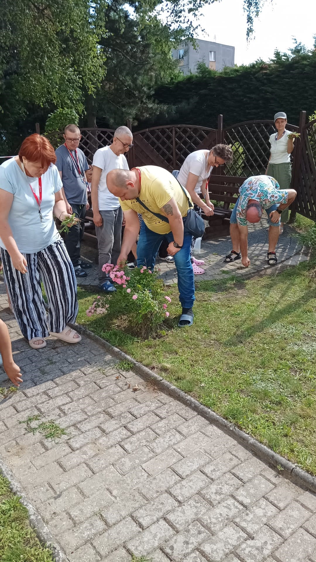 grupa kobiet i mężczyzn pielęgnuje rośliny w ogrodzie. 