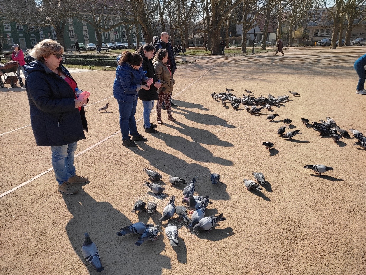 Grupa kobiet i mężczyzn karmi gołębie.