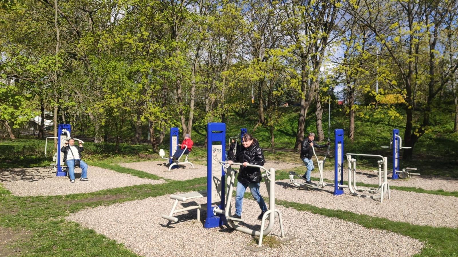 Grupa osób podczas ćwiczeń na siłowni napowietrznej zlokalizowanej w parku.  